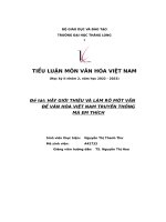 đề tài hãy giới thiệu và làm rõ một vấn đề văn hóa việt nam truyền thống mà em thích
