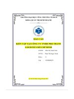 báo cáo kiến tập tại công ty tnhh pro trans logistics hồ chí minh