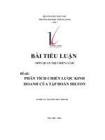 bài tiểu luận phân tích chiến lược kinh doanh của tập đoàn hilton