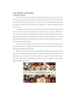 giới thiệu về ẩm thực việt nam