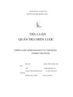 tiểu luận quản trị chiến lược chiến lược kinh doanh của tập đoàn tommy hilfiger