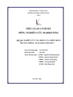 tiểu luận cuối kỳ nghiên cứu tác động của chiến dịch truyền thông sunlight for men