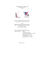 tiểu luận học phần du lịch văn hóa miền trung huyền diệu du lịch văn hóa huế đà nẵng hội an