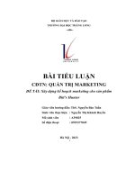 bài tiểu luận đề tài xây dựng kế hoạch marketing cho sản phẩm bitis hunter