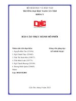 báo cáo thực hành mô phôi lam da