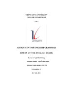 assignment of english grammar issues of the english verbs