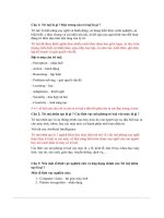 cuoi ki de cuong tri tue nhan tao 2