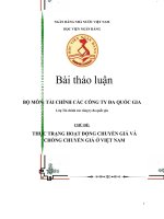 Tiểu Luận  -  tài chính đa quốc gia - đề tài - Thực Trạng Hoạt Động Chuyển Giá Và Chống Chuyển Giá Ở Việt Nam
