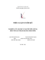 tiểu luận cuối kỳ nghiên cứu hành vi người tiêu dùng đối với sản phẩm bánh chocopie