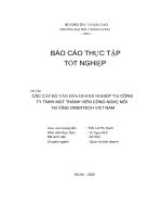 các cấp độ văn hóa doanh nghiệp tại công ty tnhh một thành viên công nghệ môi trường orentech việt nam