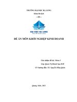 đề án môn khởi nghiệp kinh doanh dự án kinh doanh đồ handmade dành cho thú cưng