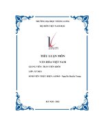 tiểu luận môn văn hóa việt nam so sánh văn hóa giao tiếp giữa người việt với người mỹ