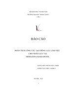 báo cáo phân tích công tác tạo động lực làm việc cho nhân lực tại sheraton hanoi hotel