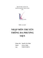 tiểu luận nhập môn truyền thông đa phươngtiện giới thiệu cuốn sách luật tâm thức