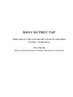 báo cáo thực tập nội dung đóng góp của việt nam cho viêc xây dưng công đồng văn hóa xã hội asean