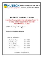 đồ án phát triển sản phẩm nghiên cứu quy trình chế biến bột cà rốt và ứng dụng trong quy trình chế biến đế bánh pizza cà rốt