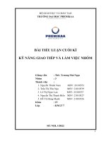 tiểu luận cuối kì để báo cáo về quá trình và tiến độ làm việc của nhóm 3 trong suốt quá trình hoàn thiện học phần kỹ năng giao tiếp và làm việc nhóm