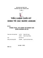 tiểu luận cuối kỳ kinh tế các nước asean đề tài phân tích so sánh và đánh giá giữa asean và eu