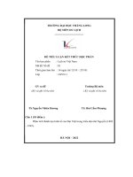 đề tiểu luận kết thúc học phần phân tích thành tựu kinh tế của đại việt trong triều đại nhà nguyễn 1802 1945