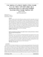 TÁC ĐỘNG CỦA PHÁT TRIỂN CÔNG NGHỆ VÀ CẤU TRÚC VỐN ĐẾN HIỆU QUẢ KINH DOANH CỦA DOANH NGHIỆP NGÀNH CÔNG NGHỆ THÔNG TIN