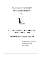 international culturual comnunication end course assignment