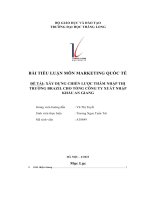bài tiểu luận môn marketing quốc tế đề tài xây dựng chiến lược thâm nhập thị trường brazil cho tổng công ty xuất nhập khẩu an giang