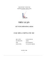 tiểu luận kỹ năng đời sống ad216 cuộc đời là những ước mơ