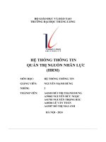 hệ thống thông tin quản trị nguồn nhân lực hrm