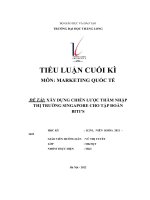 tiểu luận cuối kì marketing quốc tế đề tài xây dựng chiến lược thâm nhập thị trường singapore cho tập đoàn bitis