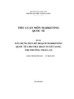 tiểu luận môn marketing quốc tế đề tài xây dựng bản kế hoạch marketing quốc tế cho trà shan tuyết sang thị trường thái lan