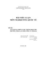 bài tiểu luận đề tài xây dựng chiến lược thâm nhập thị trường thái lan cho công ty ofelia