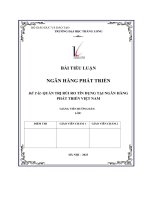 bài tiểu luận ngân hàng phát triển đề tài quản trị rủi ro tín dụng tại ngân hàng phát triển việt nam