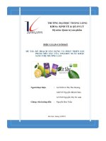 đề tài kế hoạch xây dựng và phát triển sản phẩm mít sấy của vinamit xuất khẩu sang thị trường lào