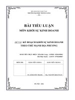 bài tiểu luận đề tài kế hoạch khởi sự kinh doanh theo thế mạnh địa phương