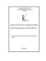 kế hoạch kinh doanh sản phẩm trái dừa