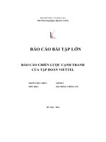 báo cáo bài tập lớn báo cáo chiến lược cạnh tranh của tập đoàn viettel