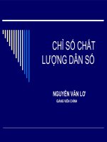 CHỈ SỐ CHẤT LƯỢNG DÂN SỐ