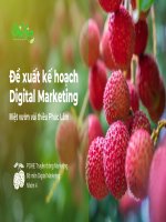 đề xuất kế hoạch digital marketing miệt vườn vải thiều phúc lâm
