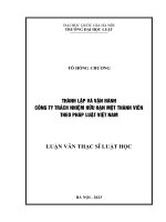 Luận văn thạc sĩ luật học: Thành lập và vận hành công ty trách nhiệm hữu hạn một thành viên theo pháp luật Việt Nam