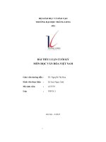 bài tiểu luận cuối kỳ môn học văn hóa việt nam
