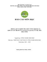 phân lập và kiểm tra khả năng kháng vi khuẩn gây bệnh của lactococcus garvieae từ hệ tiêu hóa tôm