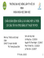 thiết bị và ktcnsh