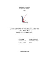 an assessment of the translation of the witches