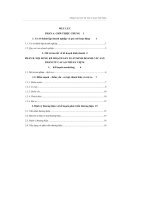 nâng cao giá trị cây cacao việt nam