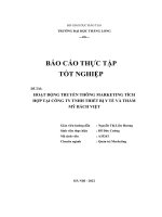 báo cáo thực tập tốt nghiệp đề tài hoạt động truyền thông marketing tích hợp tại công ty tnhh thiết bị y tế và thẩm mỹ bách việt