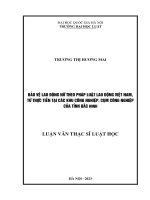 Luận văn thạc sĩ luật học: Bảo vệ lao động nữ theo pháp luật lao động Việt Nam, từ thực tiễn tại các khu công nghiệp, cụm công nghiệp của tỉnh Bắc Ninh