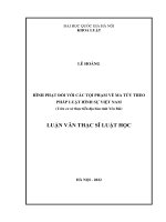 Luận văn thạc sĩ luật học: Hình phạt đối với các tội phạm về ma túy theo pháp luật hình sự việt nam (trên cơ sở thực tiễn địa bàn tỉnh Yên Bái)