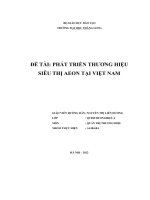 đề tài phát triển thương hiệusiêu thị aeon tại việt nam