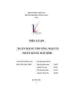 tiểu luận ngân hàng thương mại cổ phần hàng hải msb