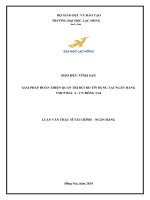 giải pháp hoàn thiện quản trị rủi ro tín dụng tại ngân hàng tmcp bắc á cn đồng nai